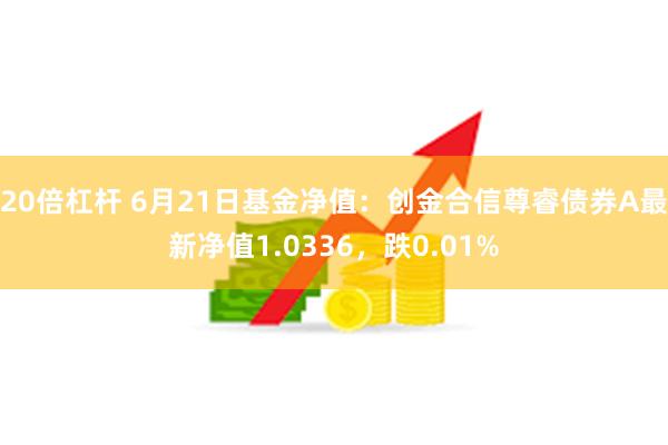 20倍杠杆 6月21日基金净值：创金合信尊睿债券A最新净值1.0336，跌0.01%