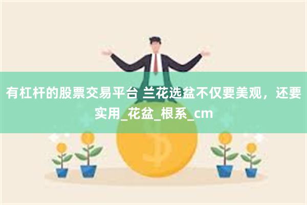 有杠杆的股票交易平台 兰花选盆不仅要美观，还要实用_花盆_根系_cm