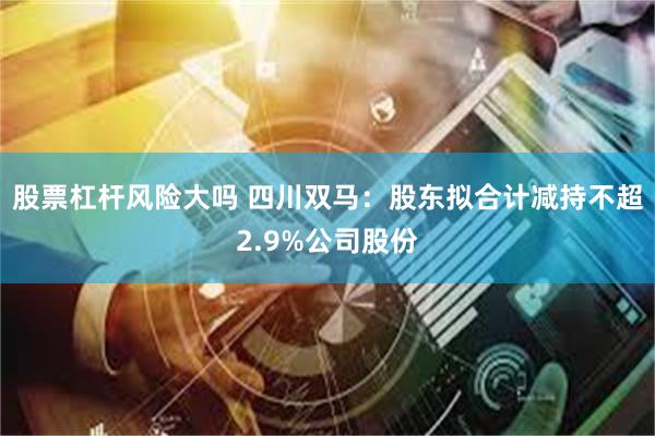 股票杠杆风险大吗 四川双马：股东拟合计减持不超2.9%公司股份