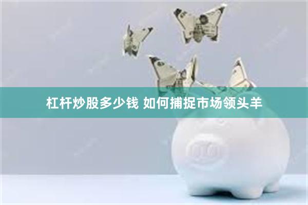 杠杆炒股多少钱 如何捕捉市场领头羊