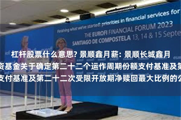 杠杆股票什么意思? 景顺鑫月薪: 景顺长城鑫月薪定期支付债券型证券投资基金关于确定第二十二个运作周期份额支付基准及第二十二次受限开放期净赎回最大比例的公告20250717