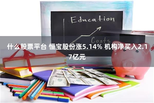 什么股票平台 恒宝股份涨5.14% 机构净买入2.17亿元