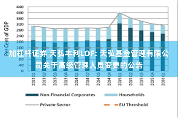 加杠杆证券 天弘丰利LOF: 天弘基金管理有限公司关于高级管理人员变更的公告